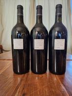 2008 Villamedoro Montepulciano - Abruzzo DOC - 3 Magnums, Verzamelen, Nieuw