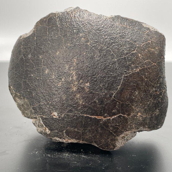 Eucrita gericht!!!!!! van VESTA Asteroïde, NWA 13940, met, Verzamelen, Mineralen en Fossielen