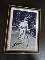 Tour de France - Eddy Merckx - Photographie, Nieuw