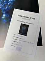 Tessa Posthuma de Boer - Monkshood #2