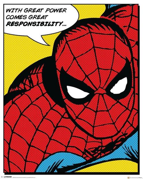 Marvel Poster Spider-Man Quote 40 x 50 cm, Collections, Cinéma & Télévision, Enlèvement ou Envoi