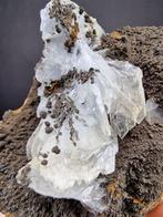 Bararite Bleu - Hauteur : 70 mm - Largeur : 55 mm- 222 g -