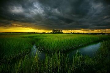 Elena Paraskeva - A Brewing Storm - XL
