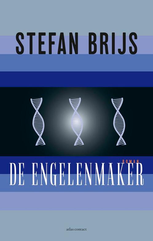 De engelenmaker 9789025458423 Stefan Brijs, Boeken, Romans, Gelezen, Verzenden
