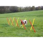 Agility, volledige set 3-delig, rood-geel - kerbl, Dieren en Toebehoren, Honden-accessoires, Nieuw