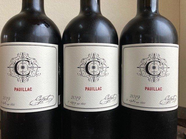 2019 Copel Wines. Pauillac - Bordeaux - 3 Flessen (0.75, Verzamelen, Wijnen