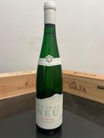 2021 Vin de la Neu, Resistenti Riesling - Trentino Alto, Verzamelen, Nieuw