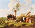 Albertus Verhoesen (1806-1881) - Drie koeien in een weide, Antiek en Kunst, Kunst | Schilderijen | Klassiek