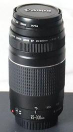 Canon EF 75-300mm 1:4-5.6 III met accessoires Digitale