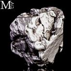 Campo del Cielo - meteoriet – ijzer-nikkel met, Collections