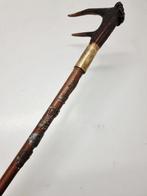 Wandelstok - Hout, gewei