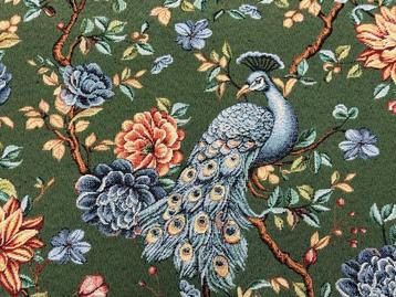 Jardin du Paon : lélégance du paon dans un jardin enchanté