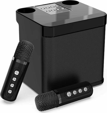 Bluetooth Karaoke Anlage met 2 microfoons, draagbare PA s...