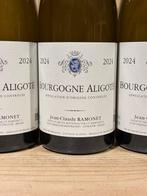 2024 Domaine Ramonet - Bourgogne Aligoté - Bourgogne - 3