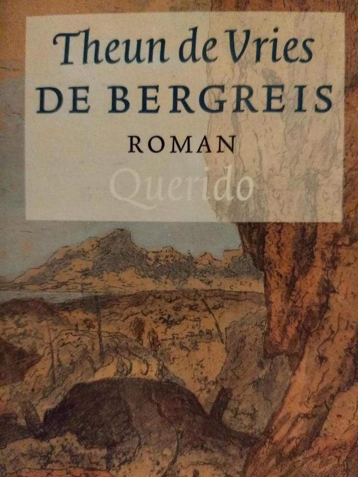 De bergreis 9789021486741 Theun de Vries, Boeken, Romans, Gelezen, Verzenden