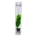 Tropica Echinodorus Bleherae easy, Verzenden, Nieuw