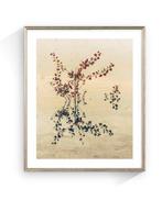 Jorge Omeñaca - Nebula Flora