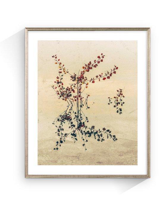 Jorge Omeñaca - Nebula Flora, Antiek en Kunst, Kunst | Designobjecten