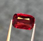 1 pcs Rood Robijn - 2.55 ct - Gem research Swiss Lab (GRS) -, Handtassen en Accessoires, Edelstenen, Nieuw