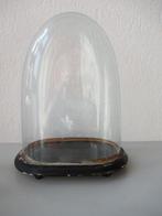 Globe ou cloche en verre - Bois, Verre - Début du XXe siècle, Antiek en Kunst, Antiek | Overige Antiek