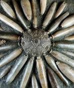 Fossiele zeester!!! - Schild met radiolen - Gefossiliseerd, Verzamelen