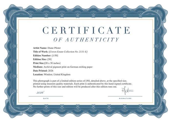 Diane Pfister - [Crown Estate Collection No. 2131-E], Antiek en Kunst, Kunst | Designobjecten