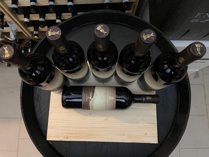 2023 Guado al Tasso, Il Bruciato - Bolgheri - 6 Flessen, Verzamelen, Wijnen