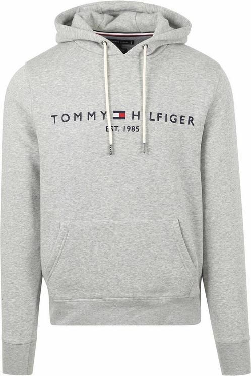 Tommy Hilfiger Hoodie Core Grijs maat Maat 52/54 (L) Heren, Kleding | Heren, Truien en Vesten, Grijs, Nieuw, Maat 52/54 (L), Verzenden