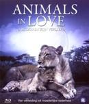 Animals in love op Blu-ray, Verzenden, Nieuw in verpakking