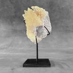 Decoratief ornament - NO RESERVE PRICE - A pair of, Antiek en Kunst