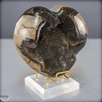 Natuurlijk Septarien Hart Draak Ei met calcietkristallen, Verzamelen