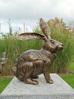 Beeldje - Levensechte haas - Brons, Antiek en Kunst, Curiosa en Brocante