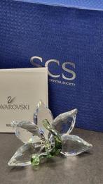 Swarovski - Orchidee groen 1142858 - boxed - Elisabeth