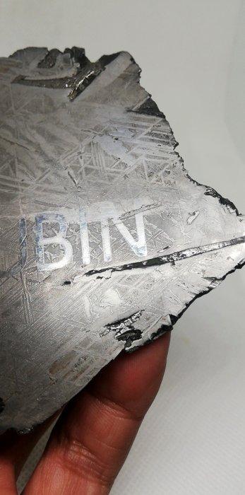 Saint Aubin meteoriet, lijn van Widmanstaeten. Mooie, Verzamelen, Mineralen en Fossielen