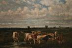 Belgische school (XIX) - Vacas en el campo, Antiek en Kunst