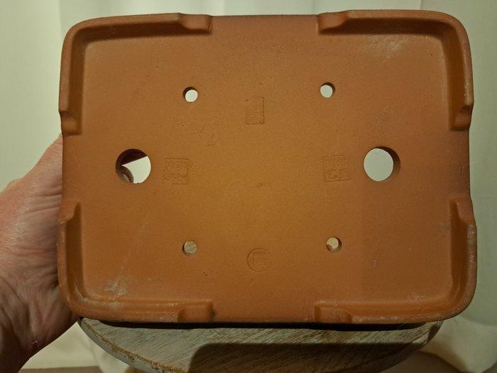 Bonsai schaal - 21,5 cm x 17 cm x 5,5 cm - groen geglazuurd, Antiquités & Art, Curiosités & Brocante