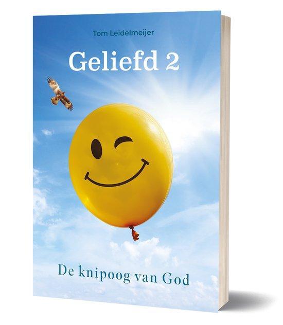 Geliefd 2 9789493345379 Tom Leidelmeijer, Boeken, Romans, Zo goed als nieuw, Verzenden