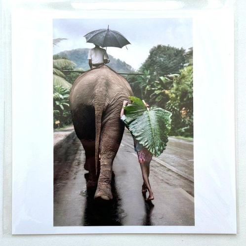 Steve McCurry (1950) - Young Man Walks Behind an Elephant,, Antiek en Kunst, Kunst | Schilderijen | Modern