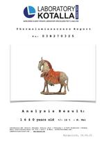 Chinois ancien, empire des Wei Terre cuite Cheval en terre