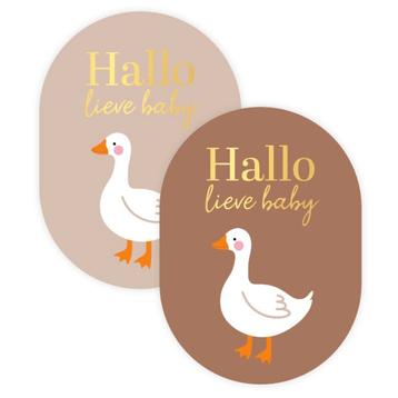 30x Sticker Hallo Lieve Baby - Bruin/Beige - Sluitsticker - beschikbaar voor biedingen