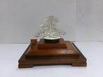 De dennenboom van Sterling zilver. BONSAI BOOM. #63g / 2.22