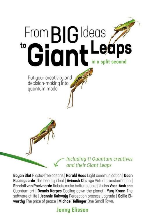 From Big Ideas to Giant Leaps in a split second, Boeken, Taal | Engels, Zo goed als nieuw, Verzenden