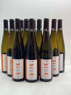 2022 Domaine Bott Geyl - Riesling Les Elements - Elzas -, Nieuw