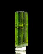 Groene tourmalijn kristal van edelsteenkwaliteit • 1,40 ct •, Verzamelen