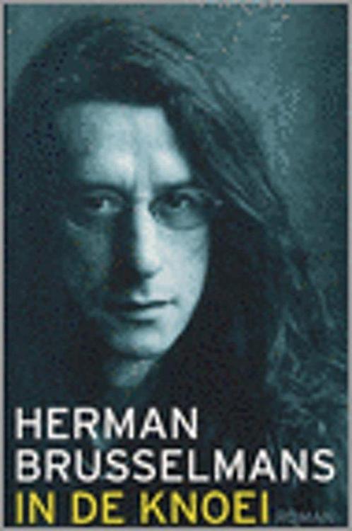 In de knoei 9789085191124 Herman Brusselmans, Boeken, Overige Boeken, Gelezen, Verzenden