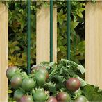 vidaXL Plantenstaken 30 st 150 cm staal groen, Verzenden, Nieuw
