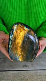 zeldzame kleur kameleon turquoise + goud kleuren