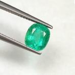 Groen Smaragd  - 1.85 ct - International Gemological, Nieuw