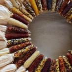 Zea pofmais baby finger mini mix decoratieve 100 zaden, Nieuw