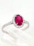 Ring - 18 karaat Witgoud Robijn - Diamant, Nieuw
